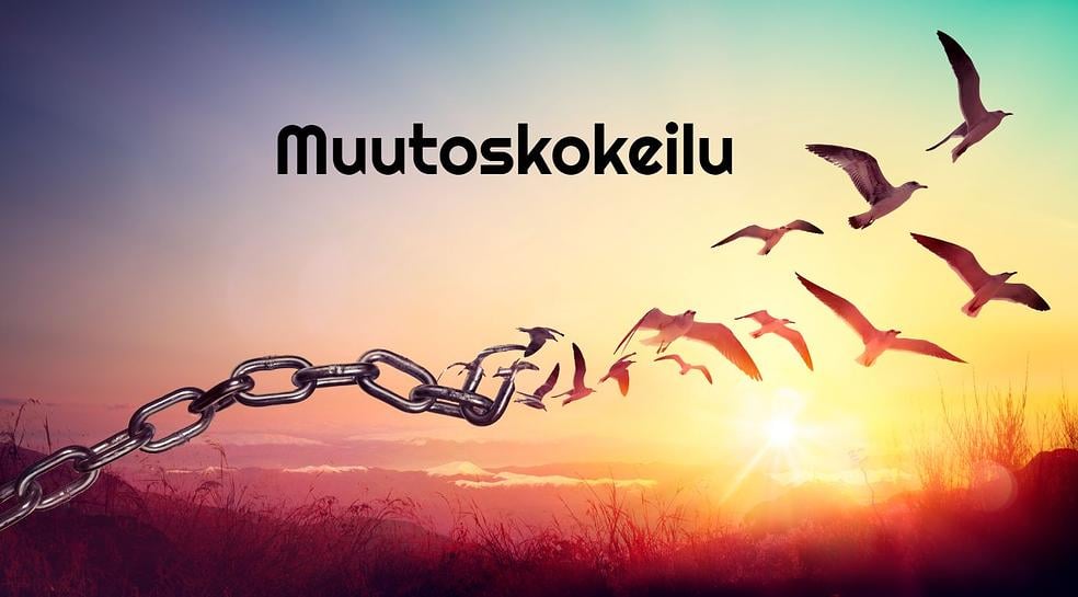 Muutoskokeilu -lyhytkurssi by Reinvention/JaMaSer